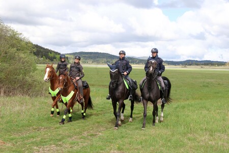 Skupen nadzor konjenikov NRP 12 Foto Ljubo Vukelič